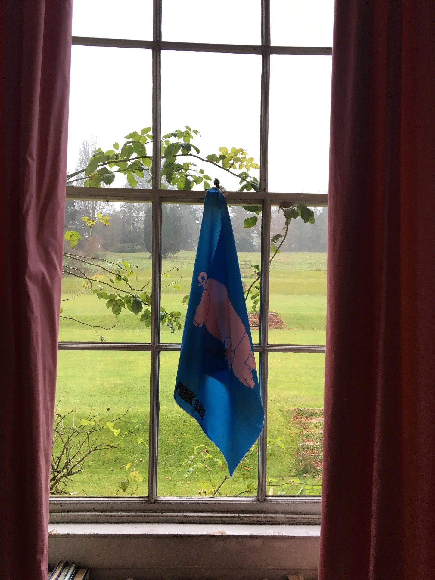 pink floyd Algie Silk Scarf